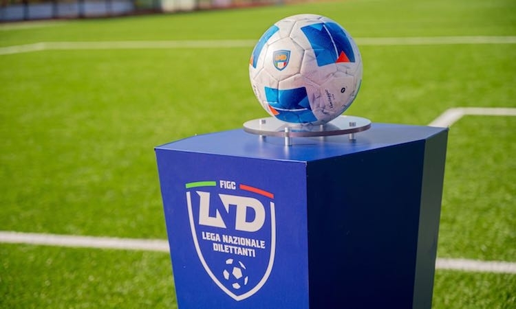 Campionati Regionali 2026/2027: il Consiglio Direttivo delibera gli organici di Eccellenza, Promozione e Prima Categoria